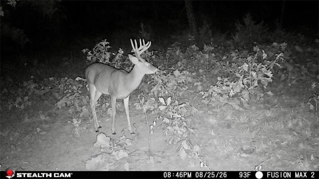 Picture 23
