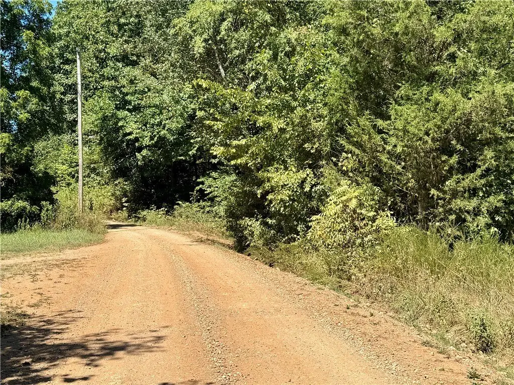 Picture 19