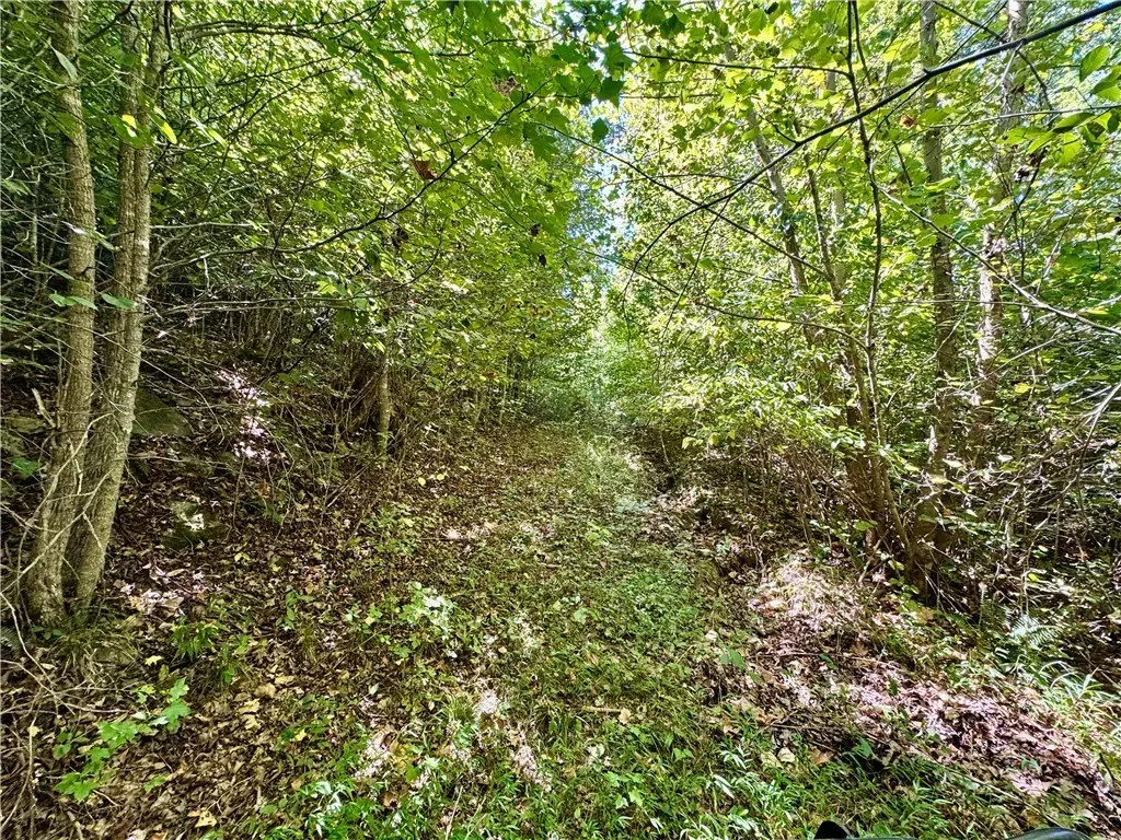 Picture 17