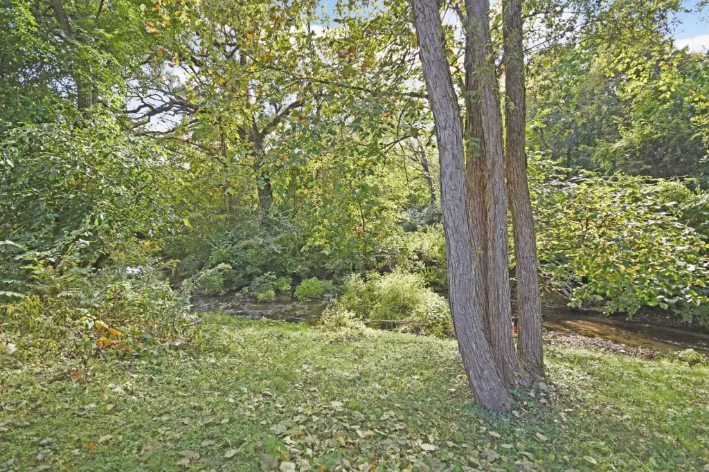 Picture 20