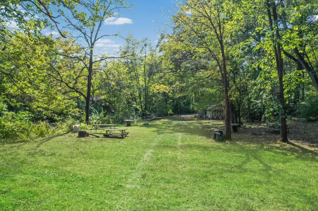 Picture 25