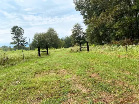 55 Acres Pasture and Timber