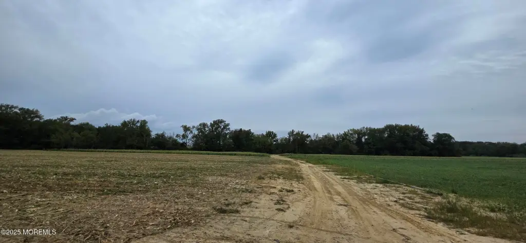 Picture 15