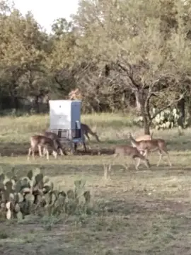 Prime Hunting Land with Improvements