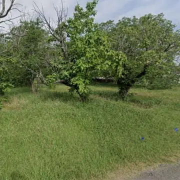 Residential Lot in Celeste, TX