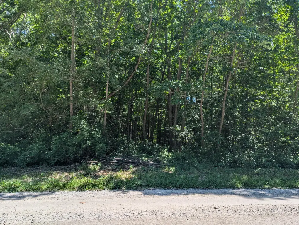 Picture 2