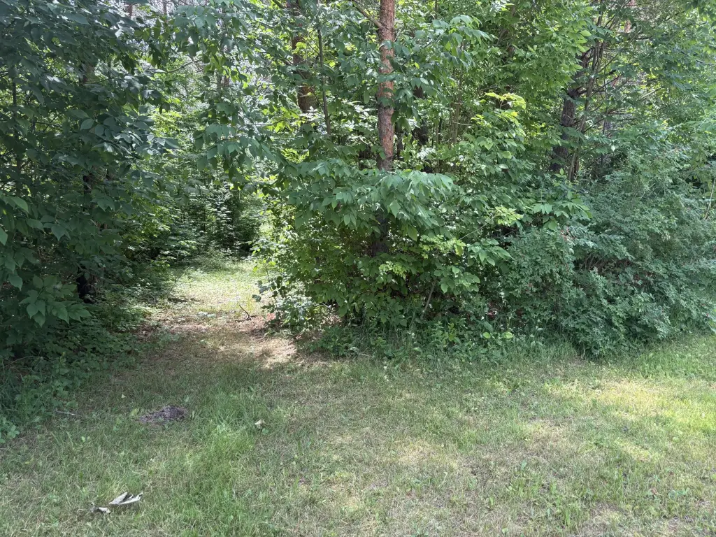 Picture 2