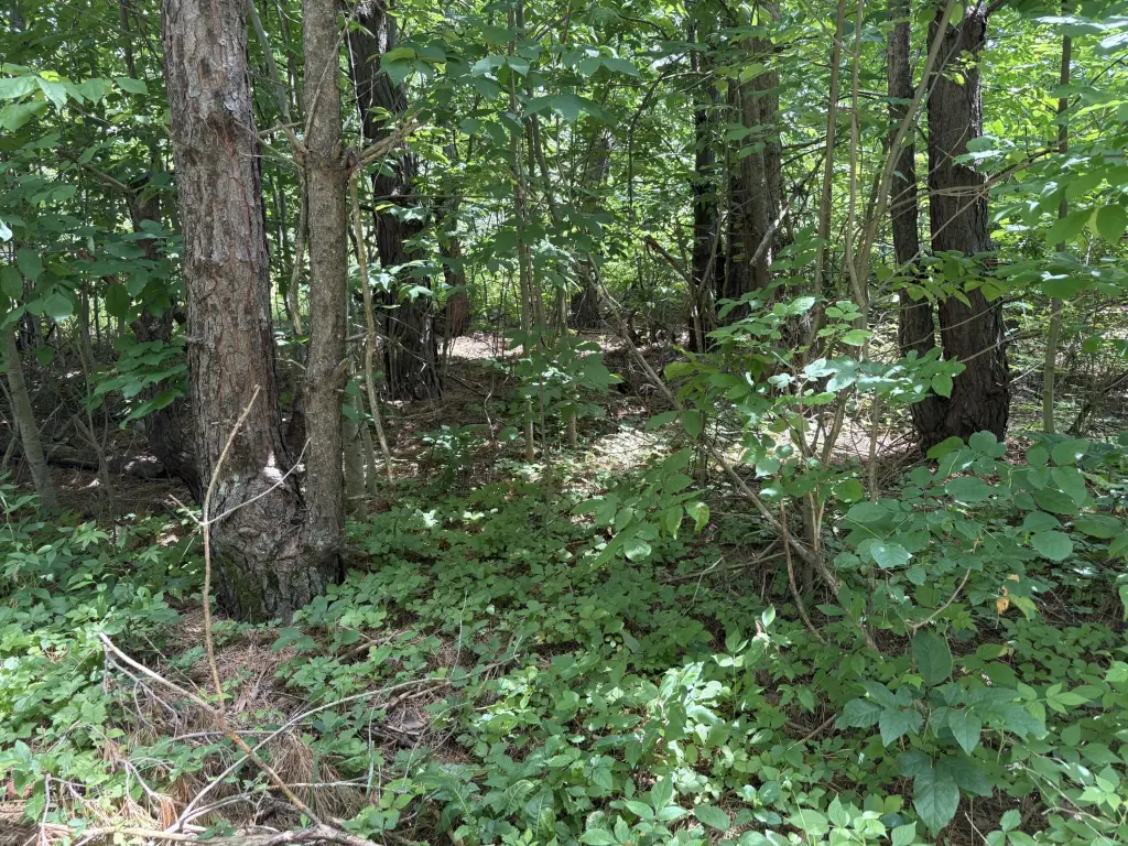 Picture 4