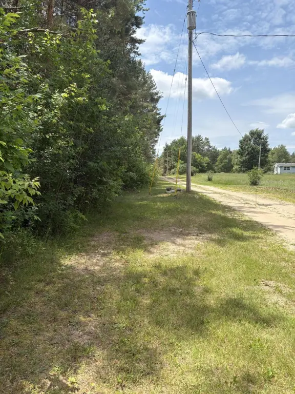 Picture 9
