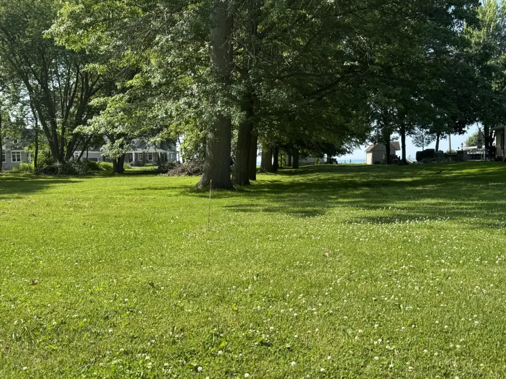 Picture 8