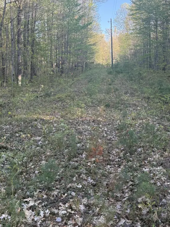 Picture 3