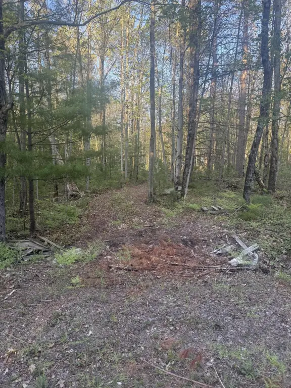 Picture 5