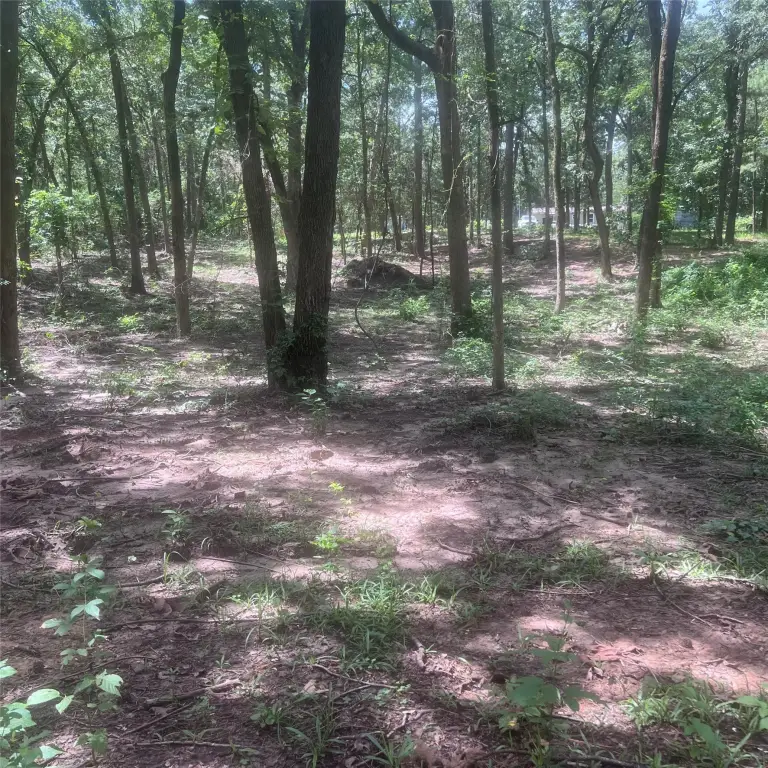 Picture 4