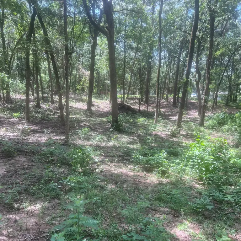 Picture 5