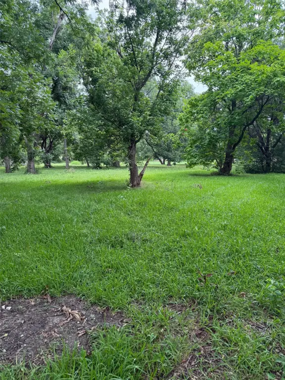 Picture 3