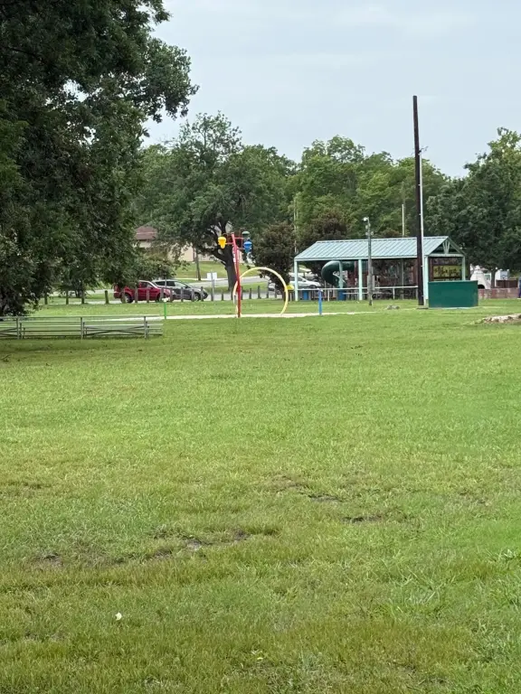 Picture 5