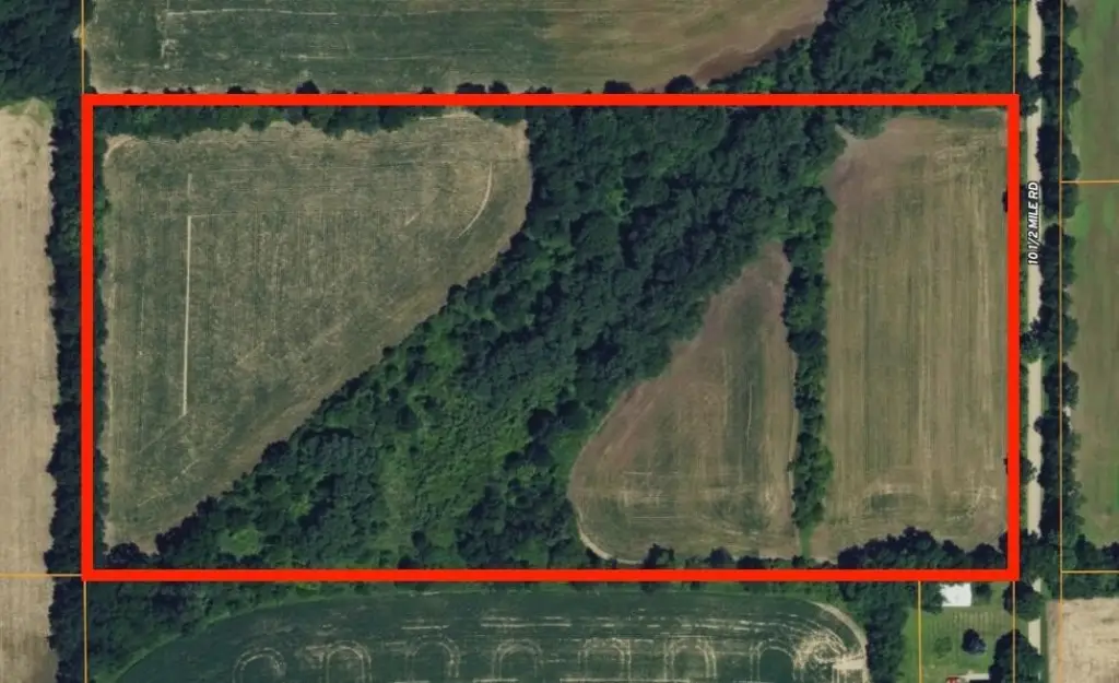 Picture 47