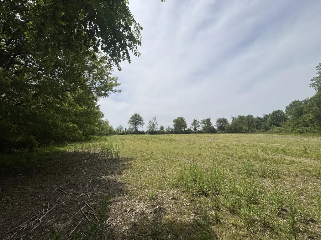 Picture 28