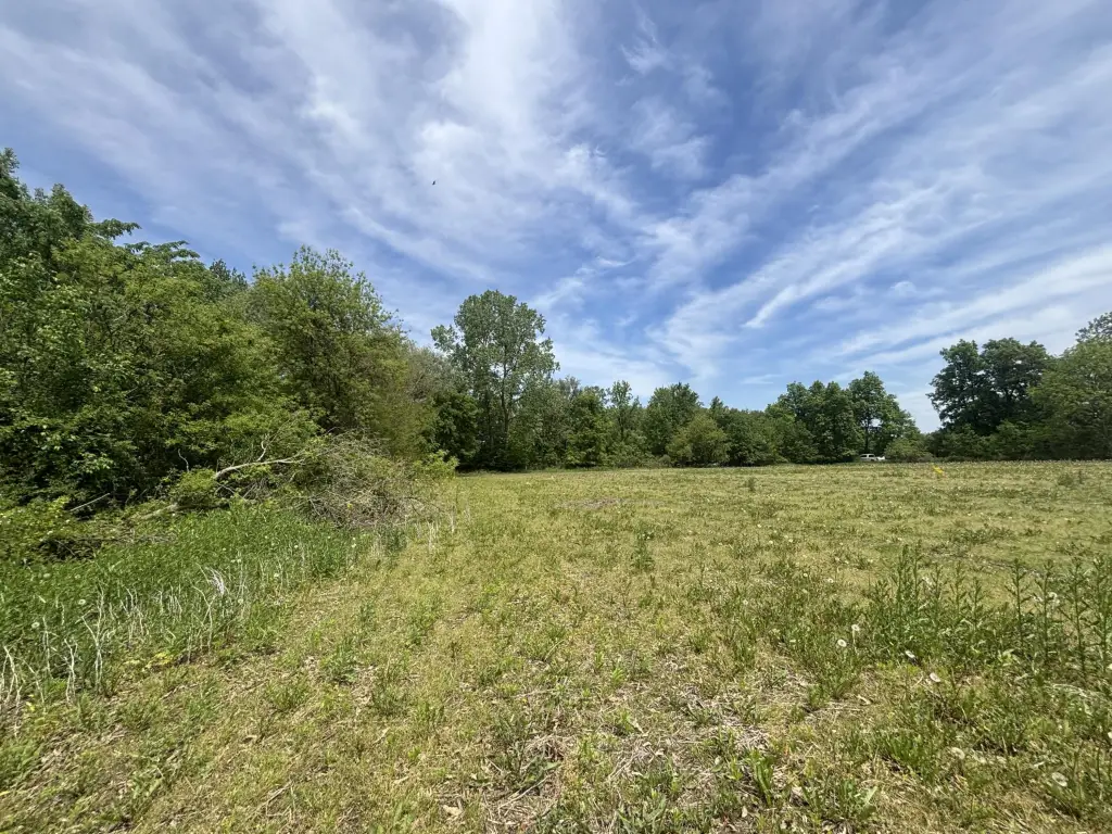 Picture 45