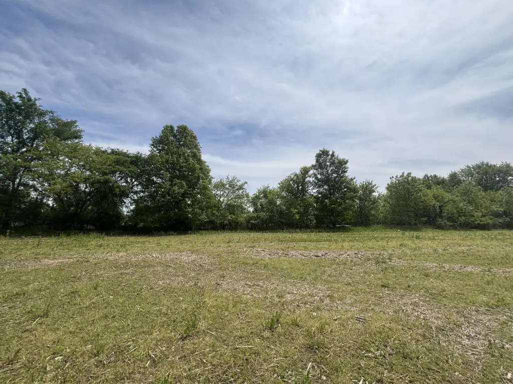 Picture 41