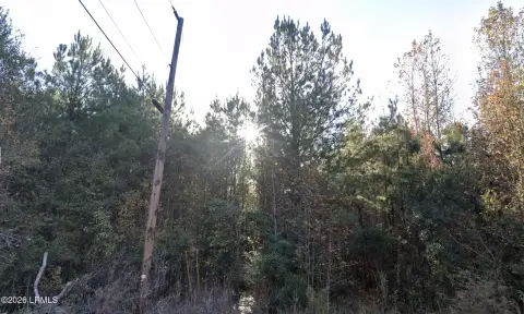 Hampton, SC Residential Land