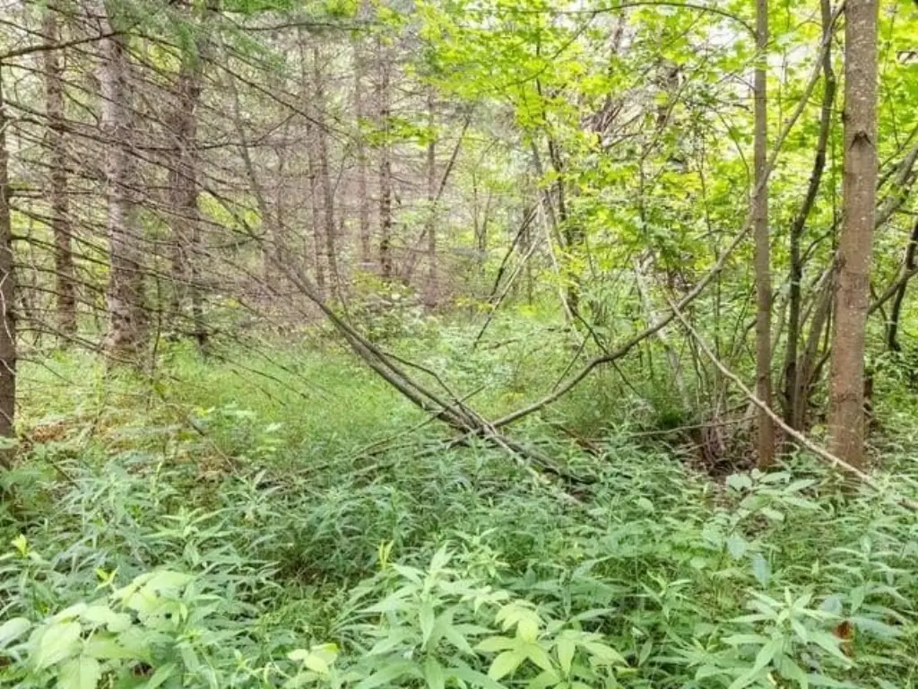 Picture 9