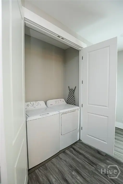 Picture 23