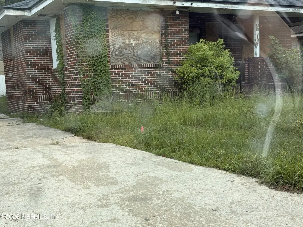 Picture 5