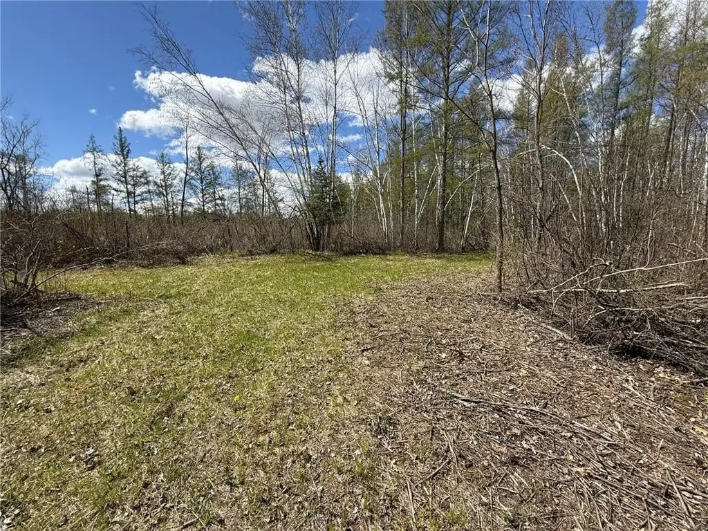 Picture 9