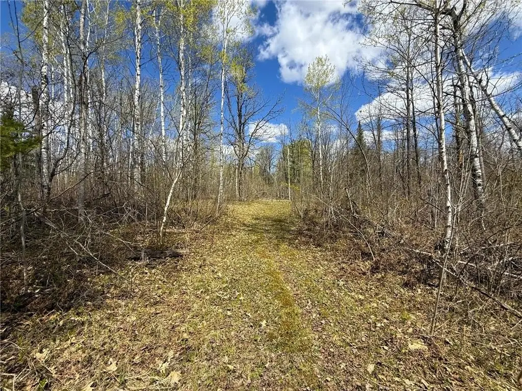 Picture 33