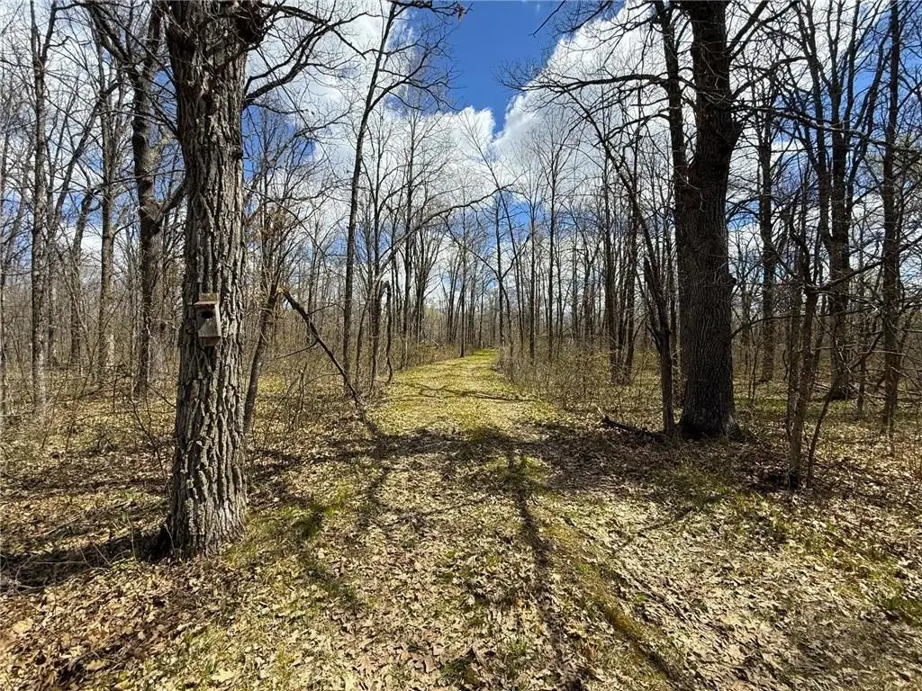 Picture 30