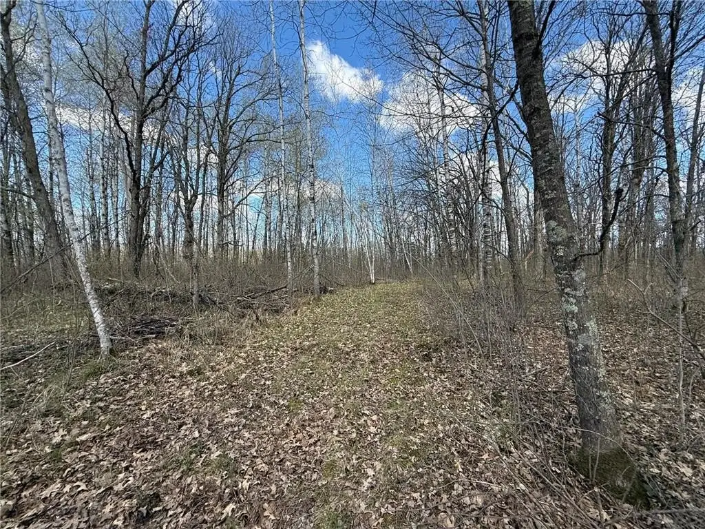 Picture 17