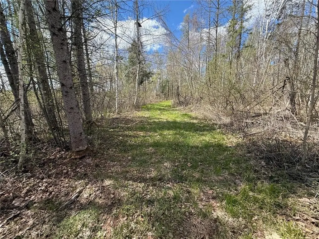 Picture 11