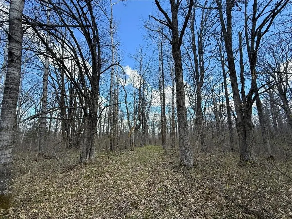 Picture 18