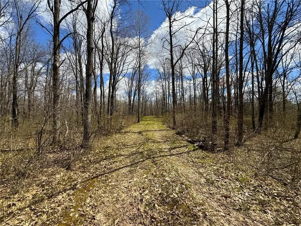 Picture 31
