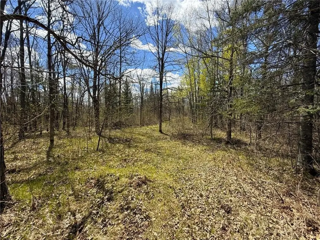 Picture 36