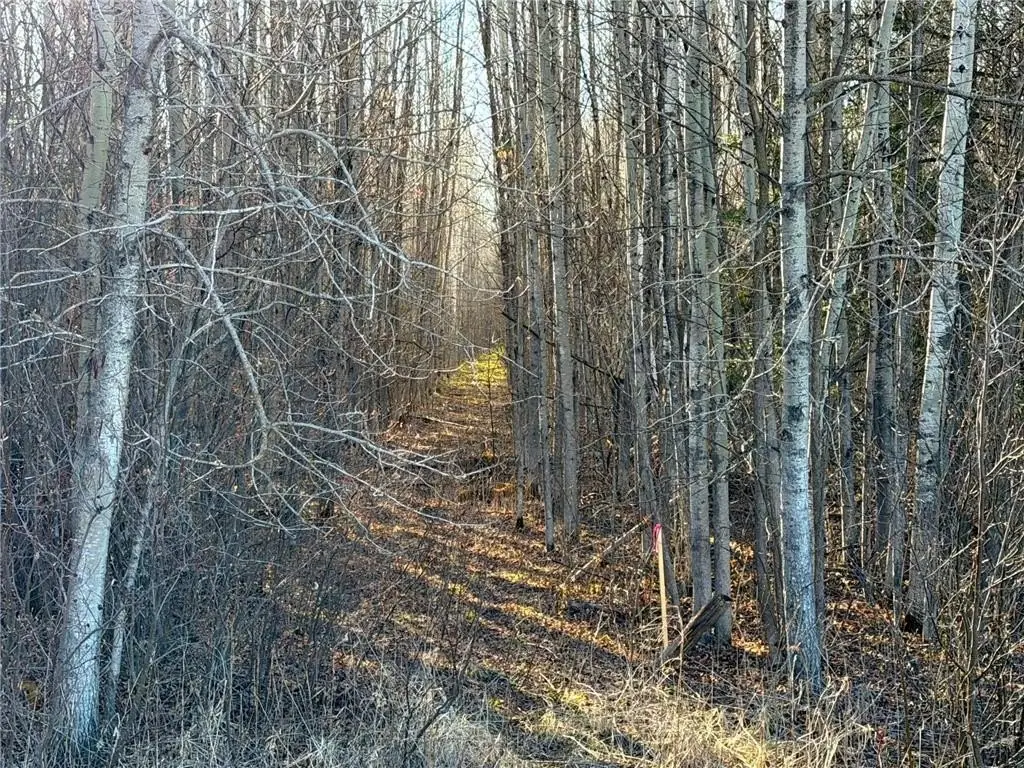 Picture 43