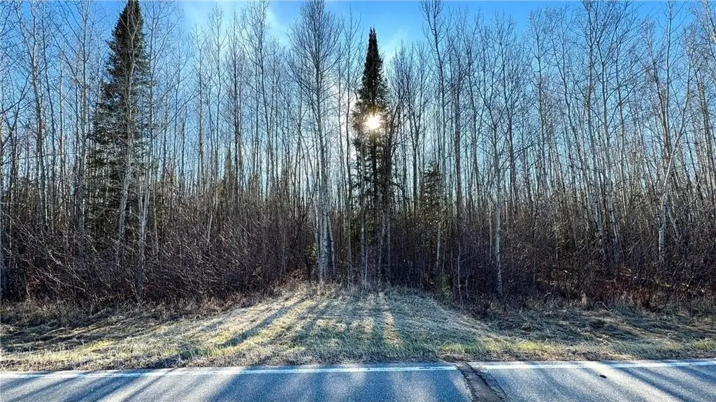 Picture 41