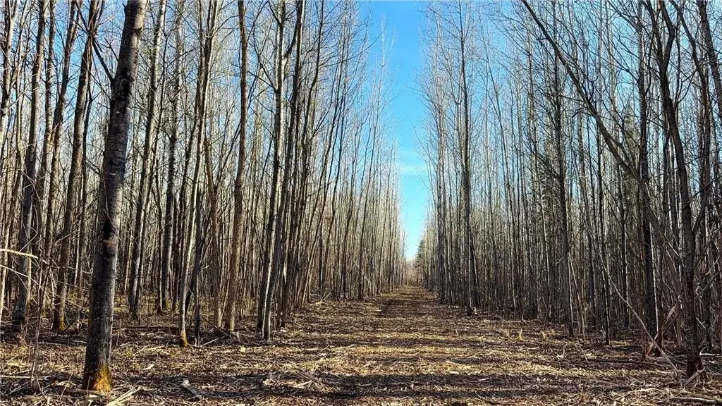 Picture 36