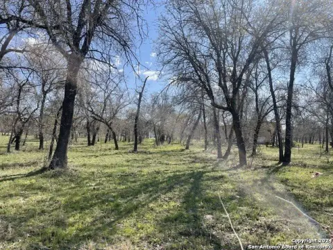 Natalia, TX Land For Sale