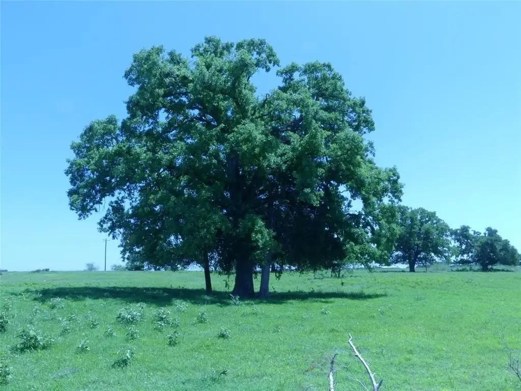 Picture 36