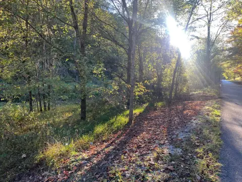 Secluded Wooded Land in Kentucky