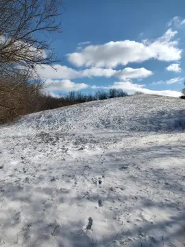 Kentucky Land with Woods Pasture