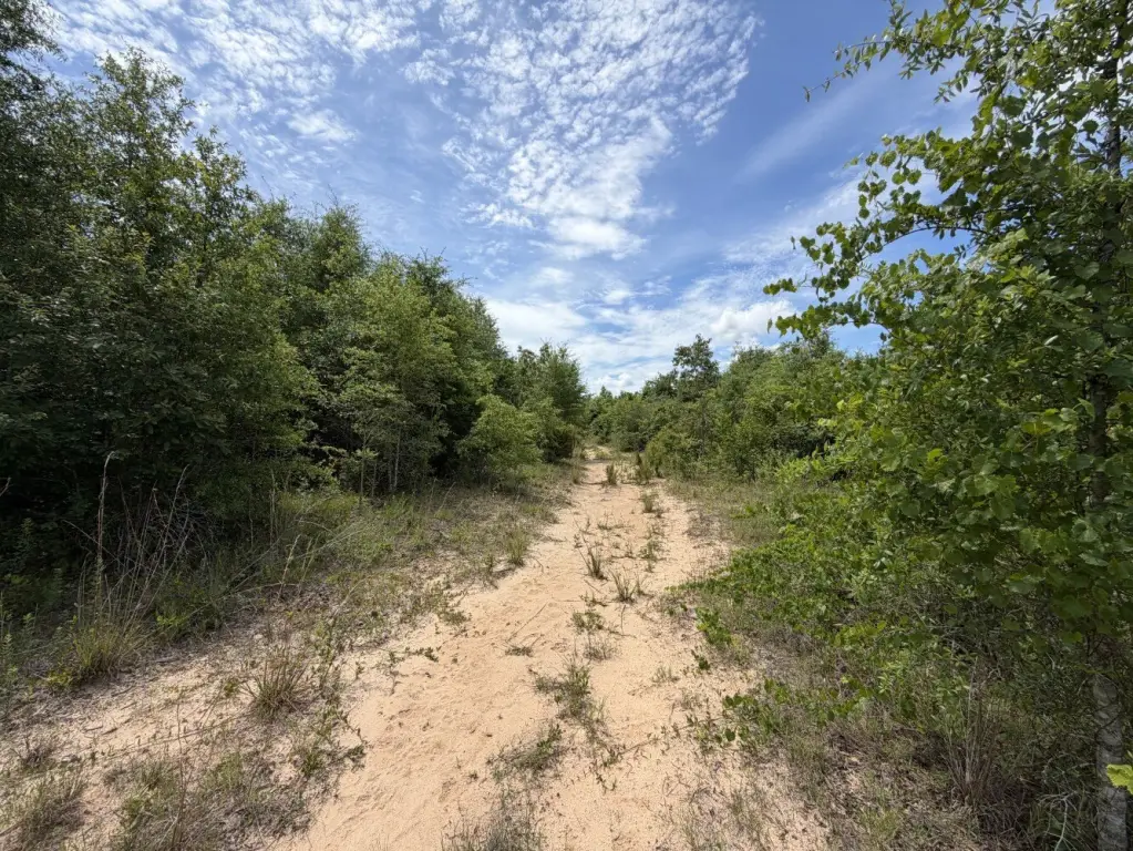 Picture 12