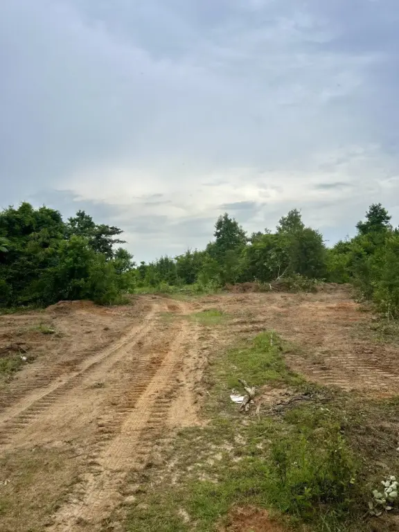 Picture 4
