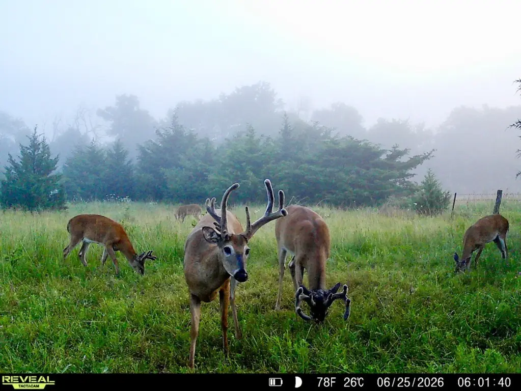 Picture 2