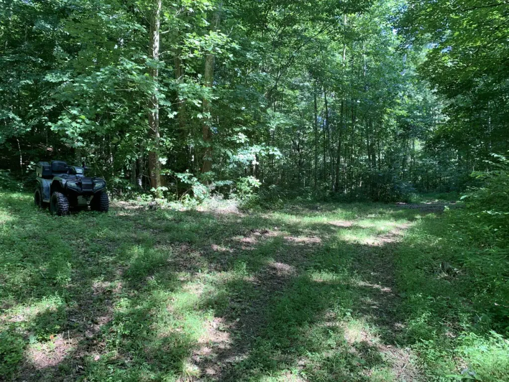 Picture 17