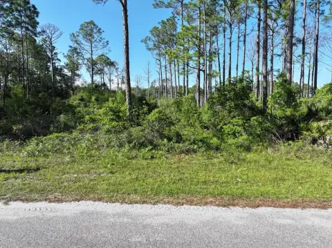 Wooded Lots in Carrabelle, FL