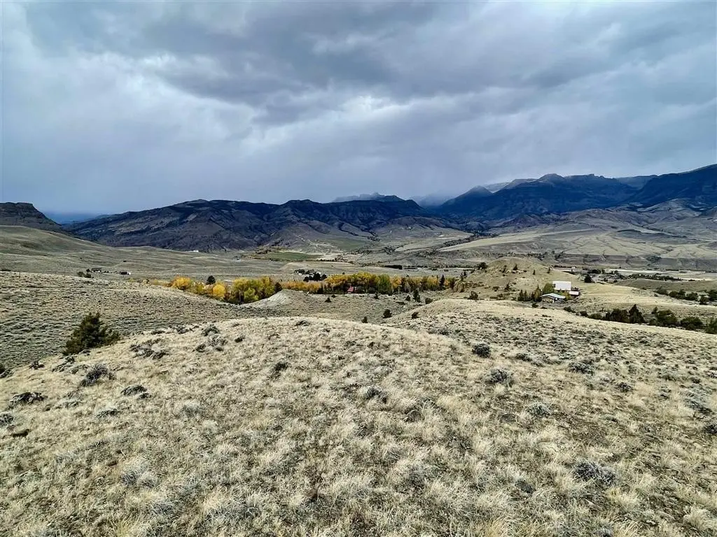 Picture 8