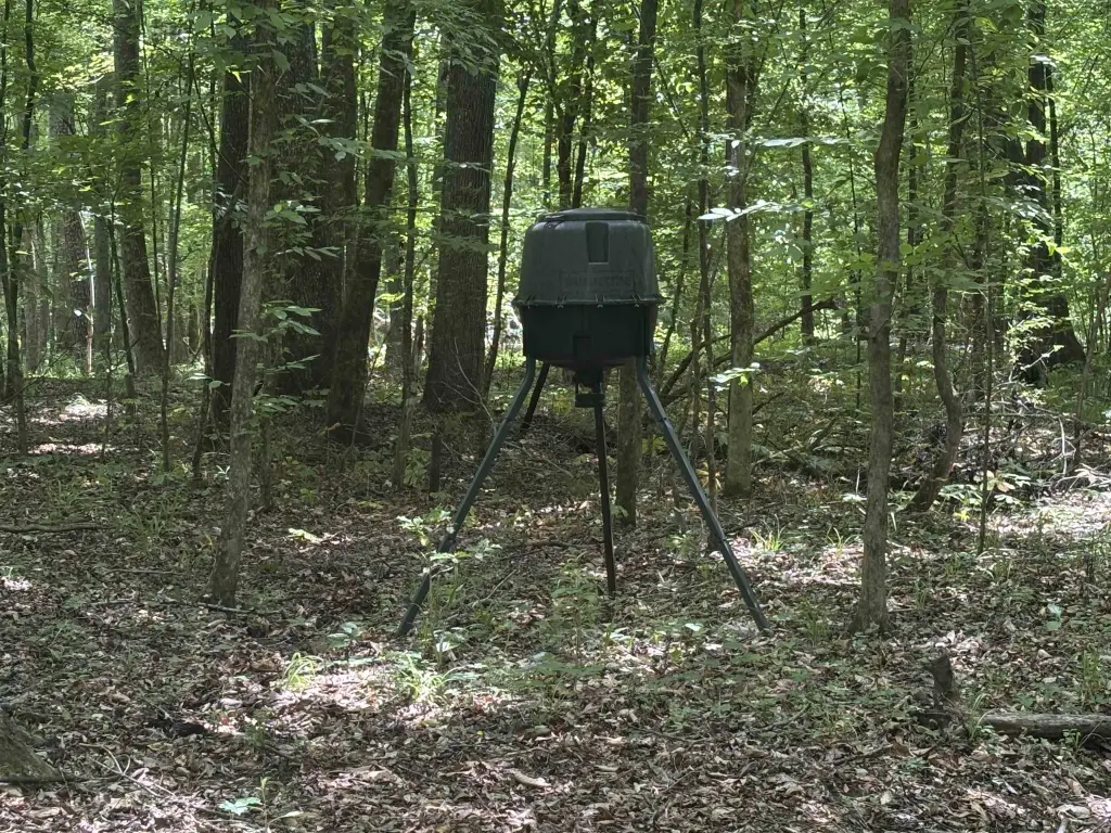 Picture 11